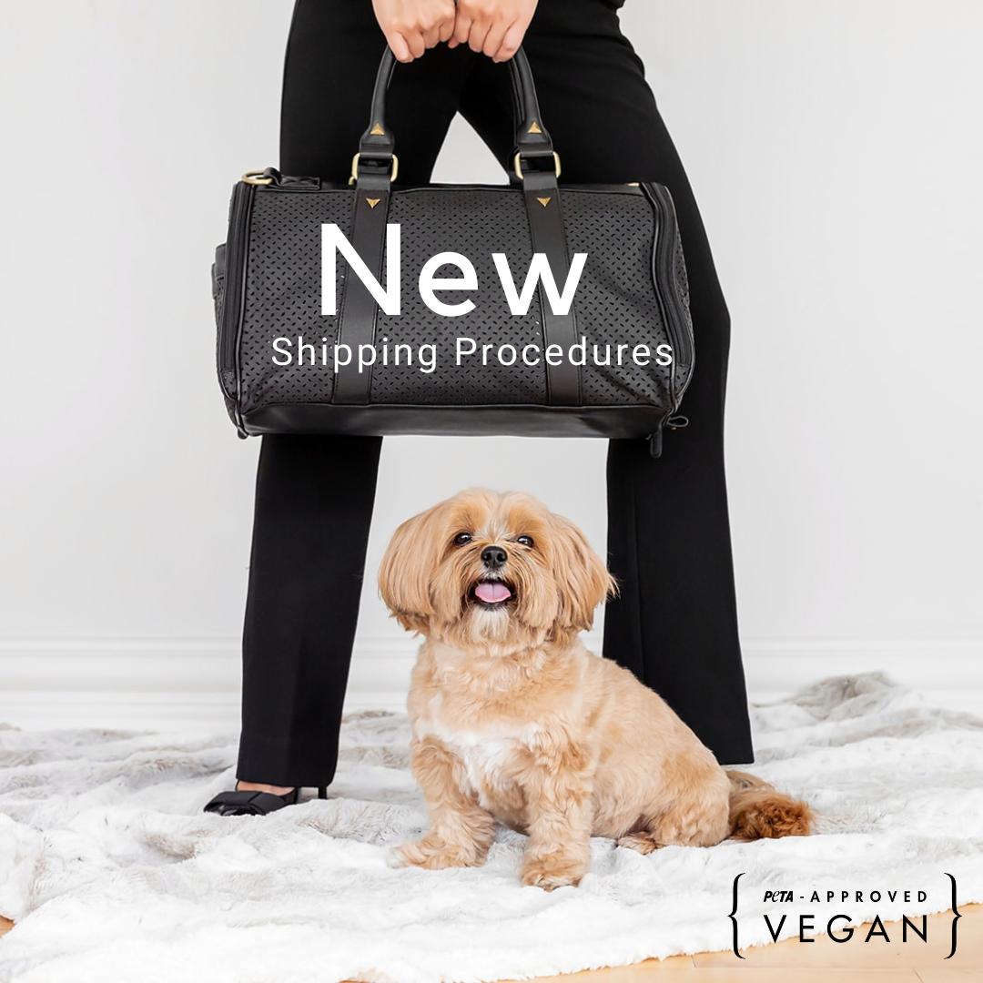BK Atelier Modern Pet Carriers & Totes – BK Atelier Carrier